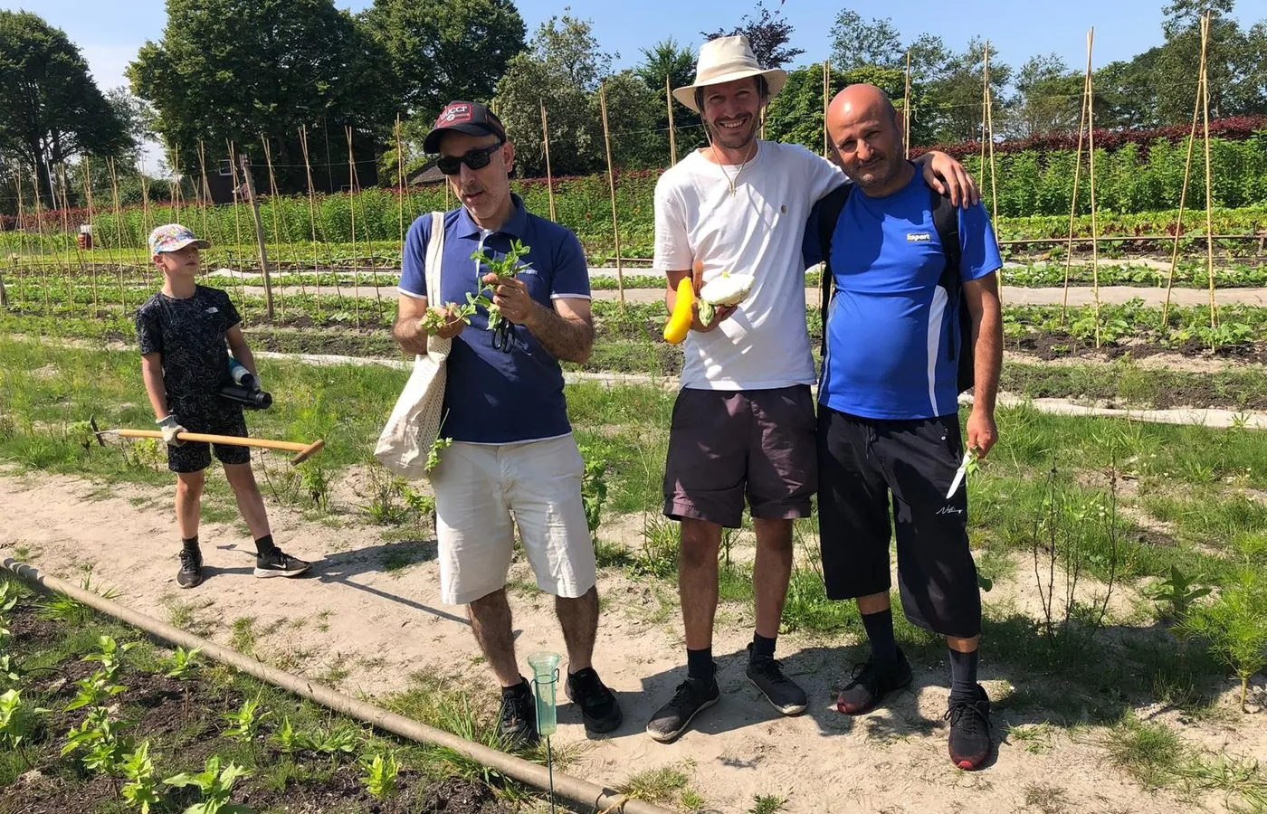 Vrijwilligers staan samen in de moestuin na het oogsten